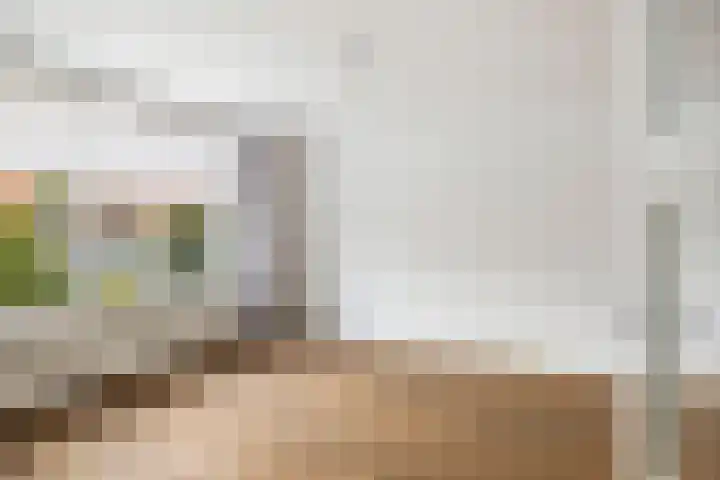 Boltelaan 3 Diepenveen thumbnail 6
