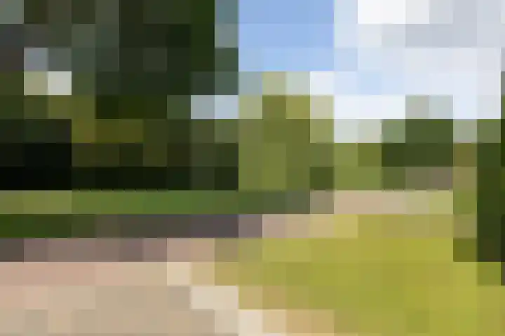 Bolthagen 14 Zevenaar thumbnail 10