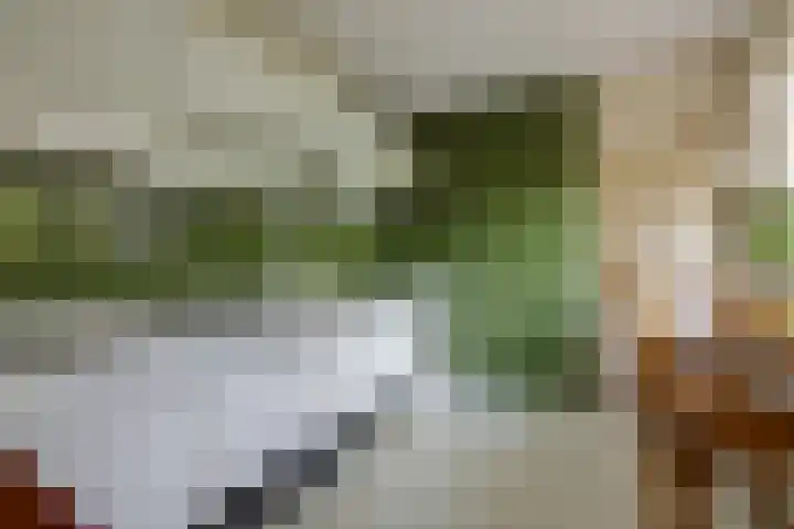 Bolthagen 14 Zevenaar thumbnail 27