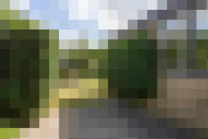 Bolthagen 14 Zevenaar thumbnail 47