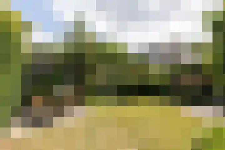 Bolthagen 14 Zevenaar thumbnail 48