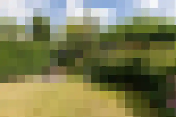 Bolthagen 14 Zevenaar thumbnail 51
