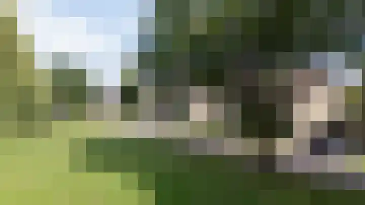 Bolthagen 14 Zevenaar thumbnail 56