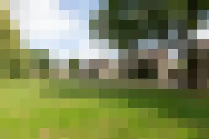 Bolthagen 14 Zevenaar thumbnail 7