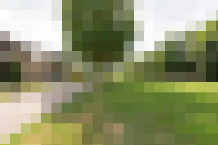 Bolthagen 14 Zevenaar thumbnail 8