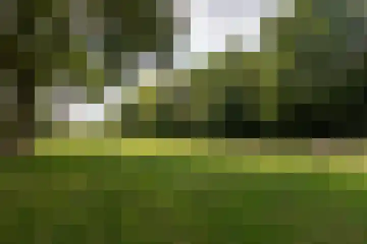 Bolthagen 14 Zevenaar thumbnail 9