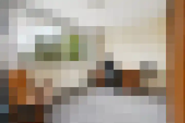 Bolthagen 4 Zevenaar thumbnail 37