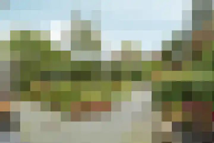 Bolthagen 4 Zevenaar thumbnail 47