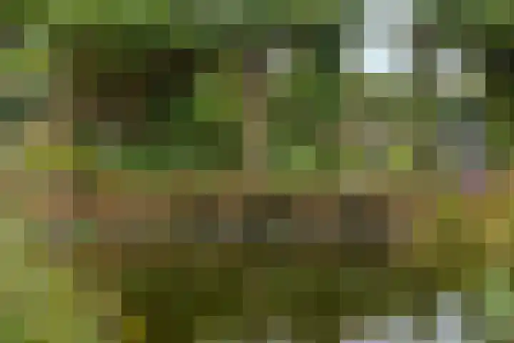 Bolthagen 4 Zevenaar thumbnail 48