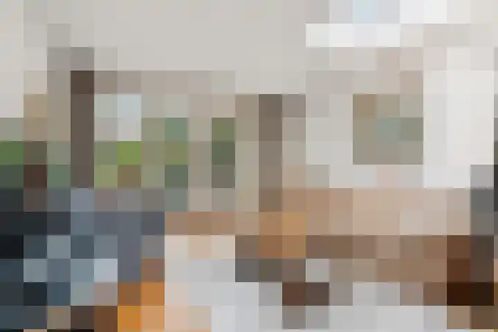 Bolthagen 4 Zevenaar thumbnail 5