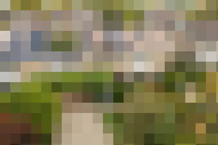 Bolthagen 4 Zevenaar thumbnail 54