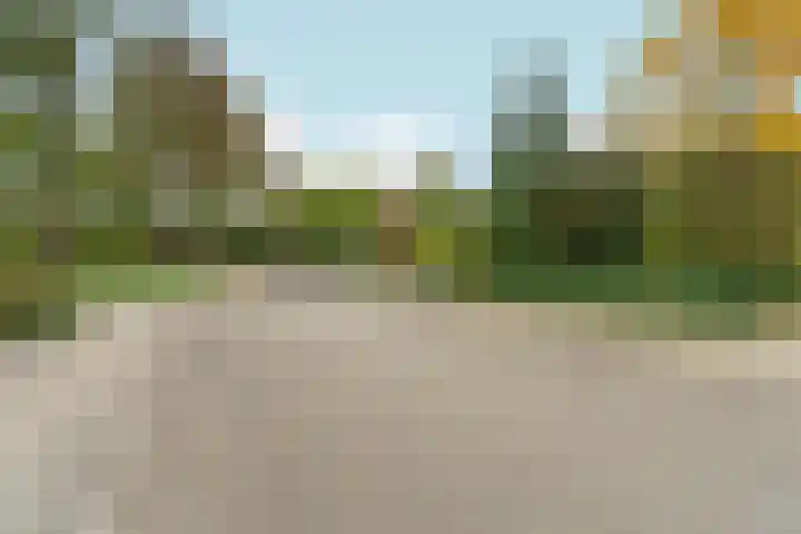 Bolthagen 4 Zevenaar thumbnail 57