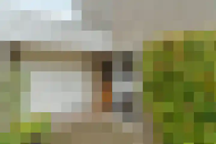 Bolthagen 4 Zevenaar thumbnail 6