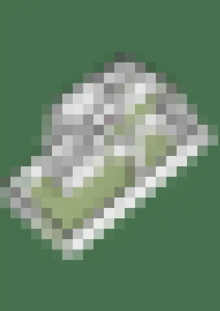 Bolthagen 4 Zevenaar thumbnail 60