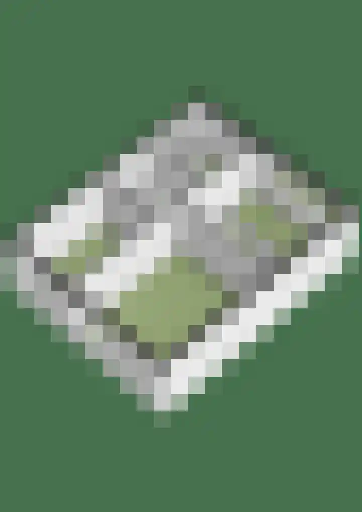 Bolthagen 4 Zevenaar thumbnail 62