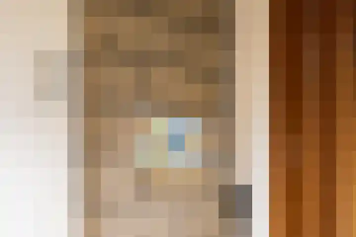 Bolthagen 4 Zevenaar thumbnail 7