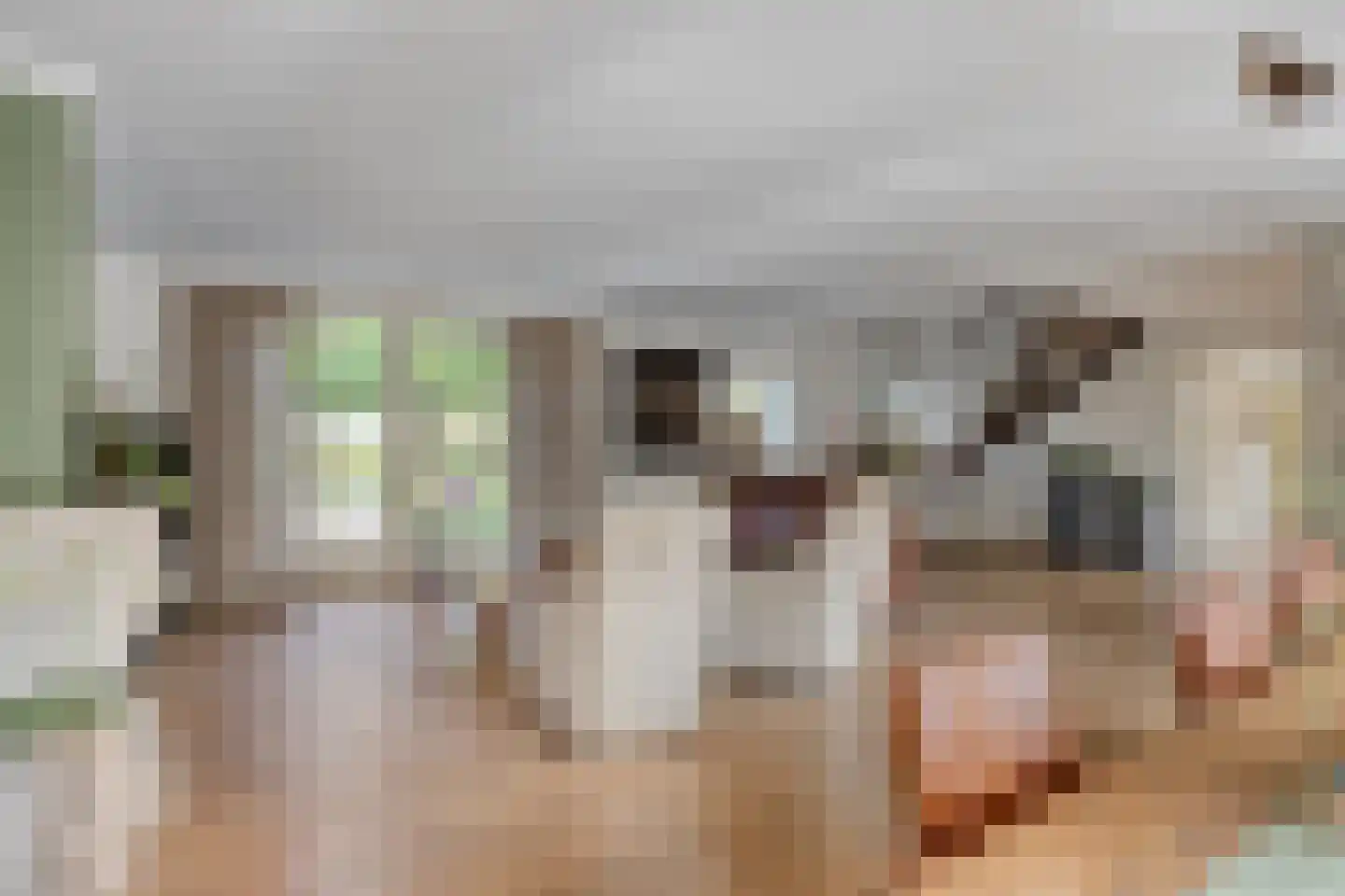 Boltsebroek 1 Escharen thumbnail 10