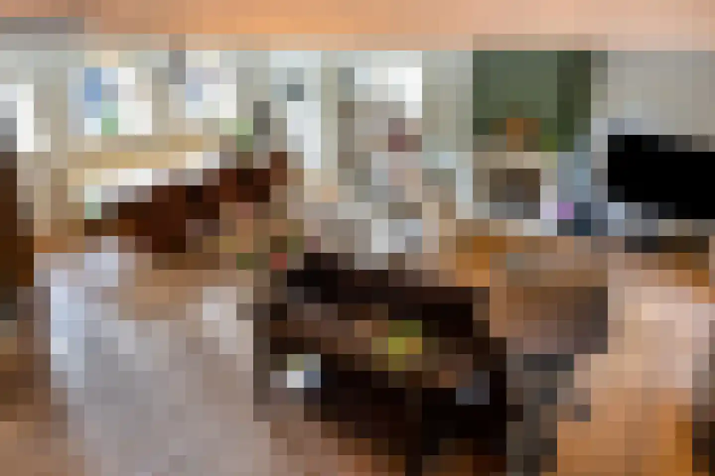 Boltsebroek 1 Escharen thumbnail 13