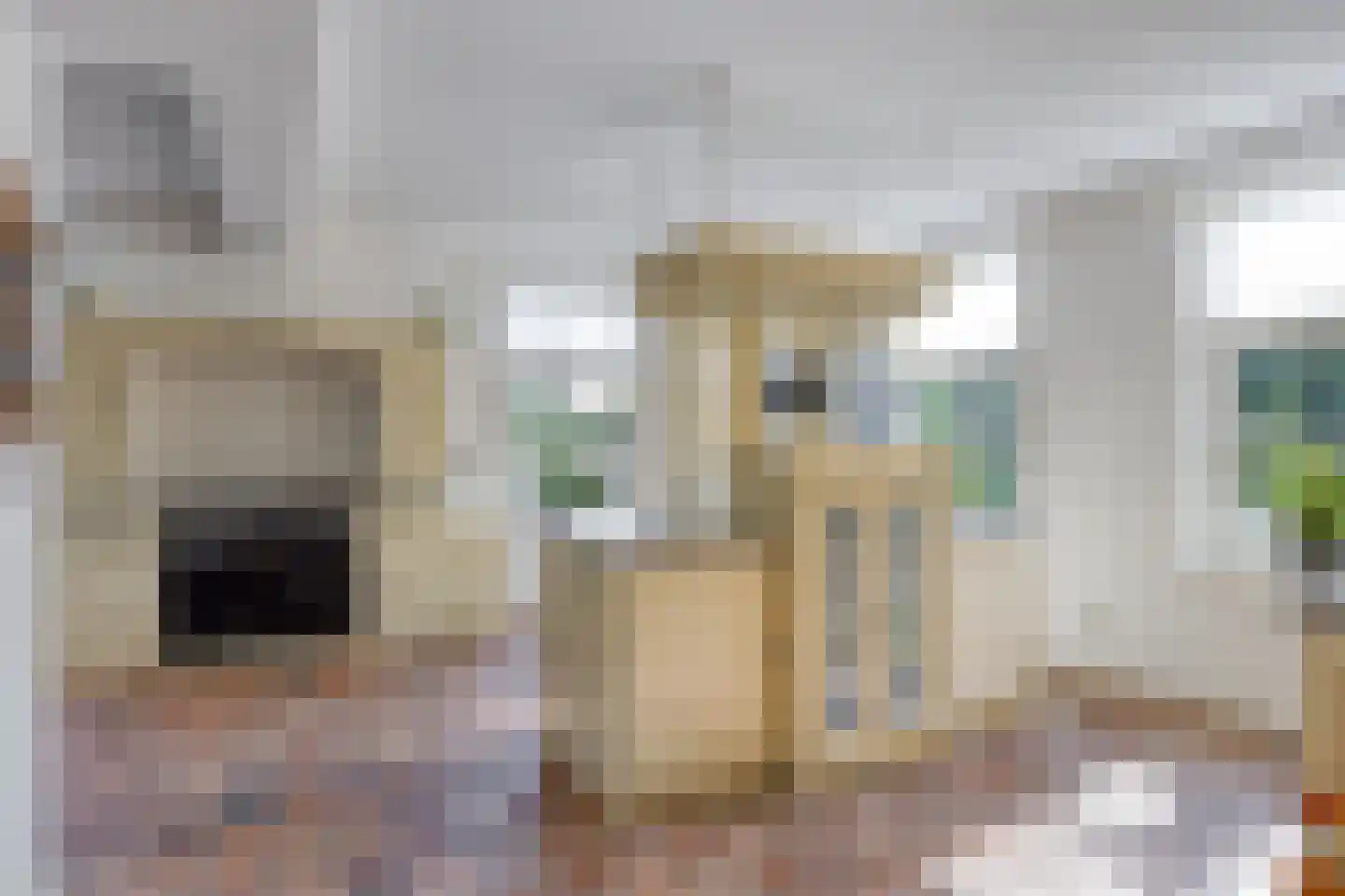 Boltsebroek 1 Escharen thumbnail 15