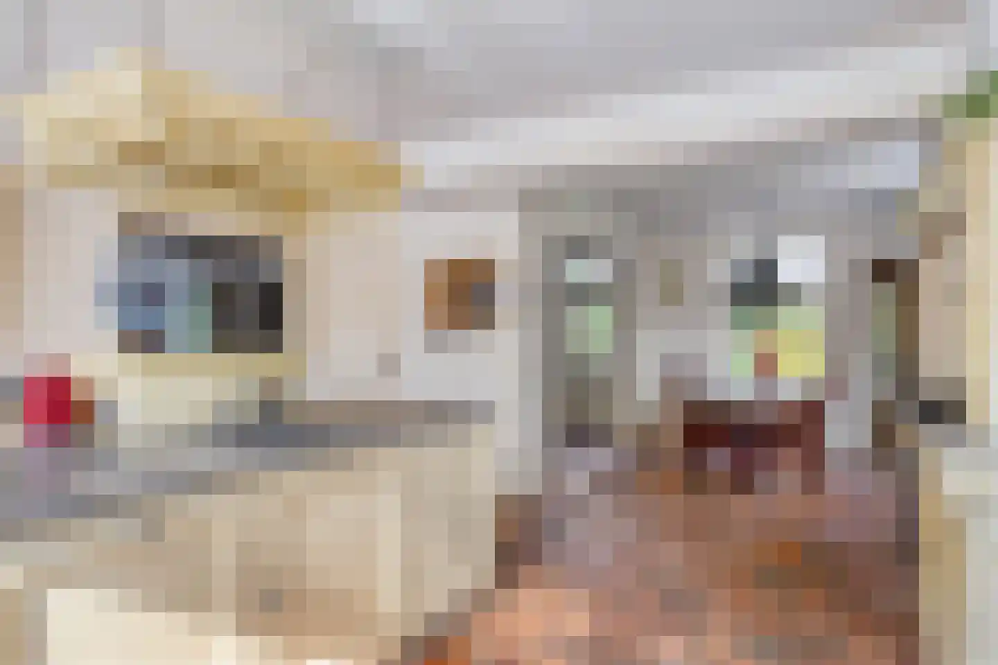 Boltsebroek 1 Escharen thumbnail 16