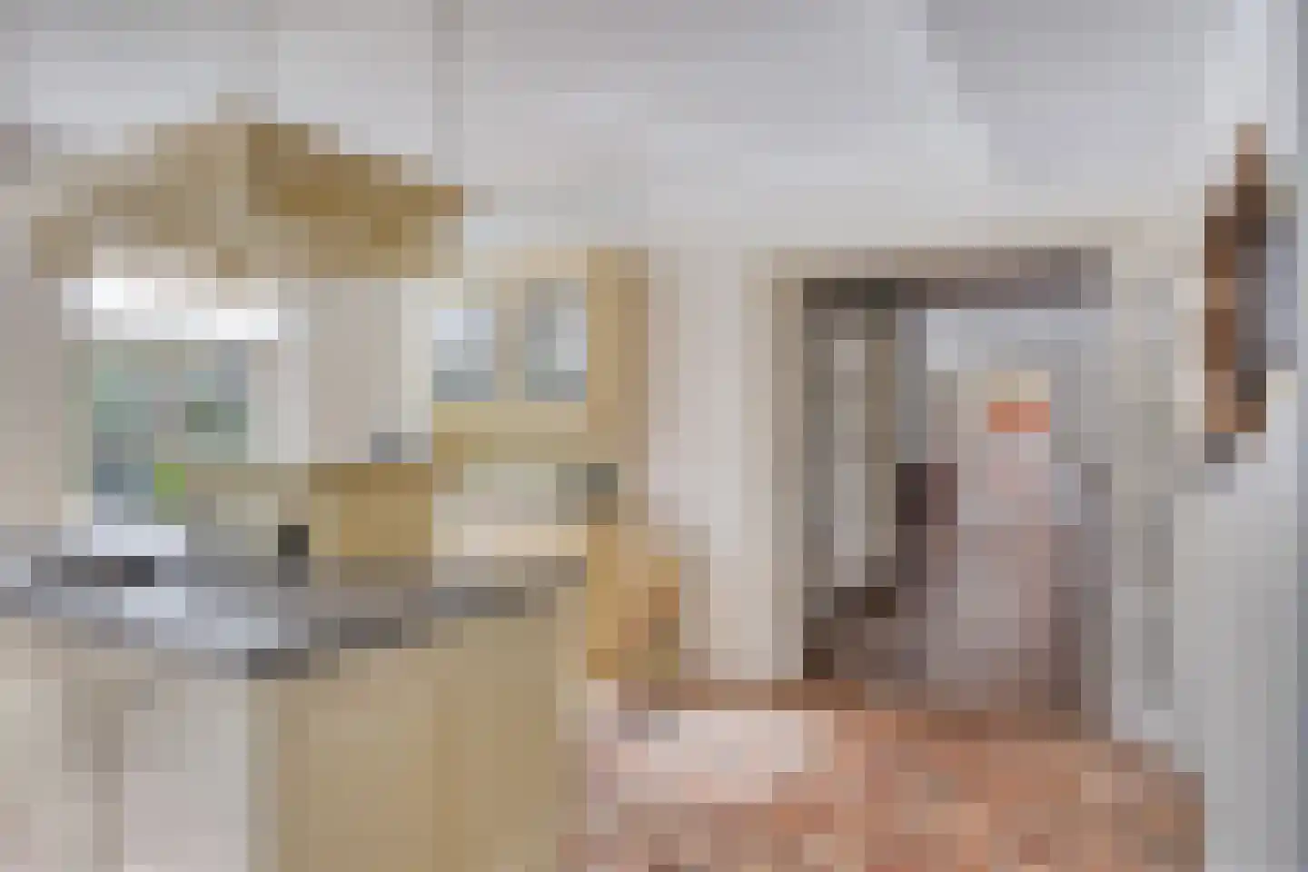 Boltsebroek 1 Escharen thumbnail 18