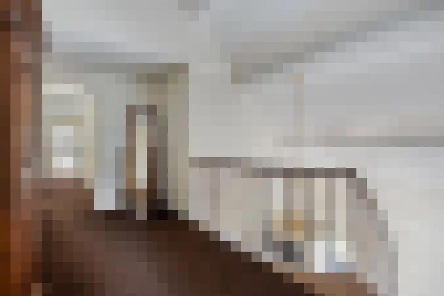 Boltsebroek 1 Escharen thumbnail 27