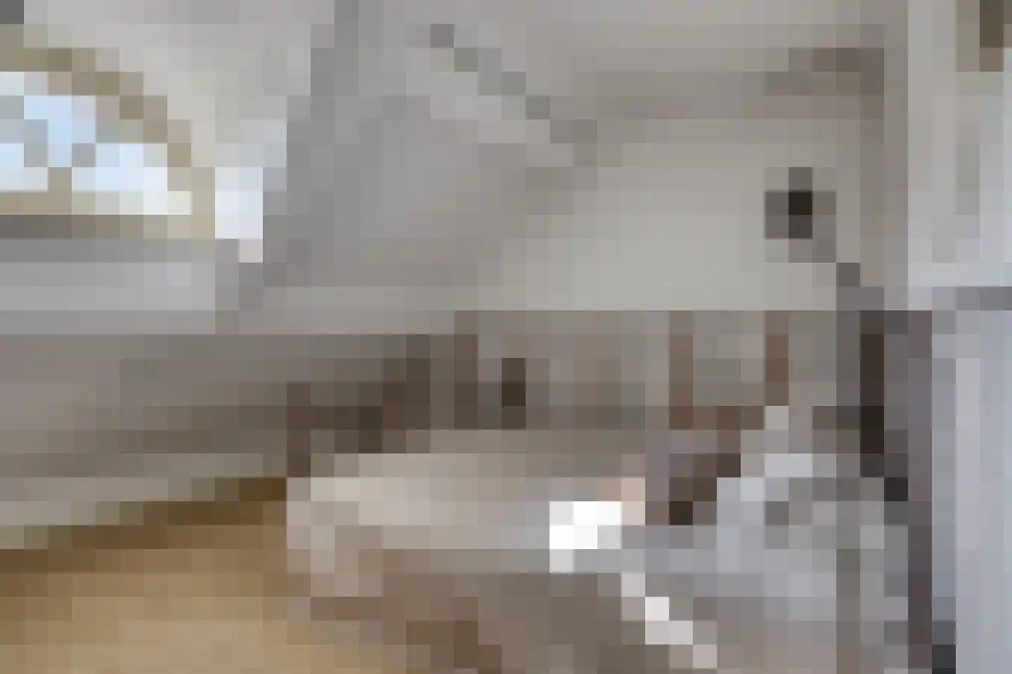 Boltsebroek 1 Escharen thumbnail 38