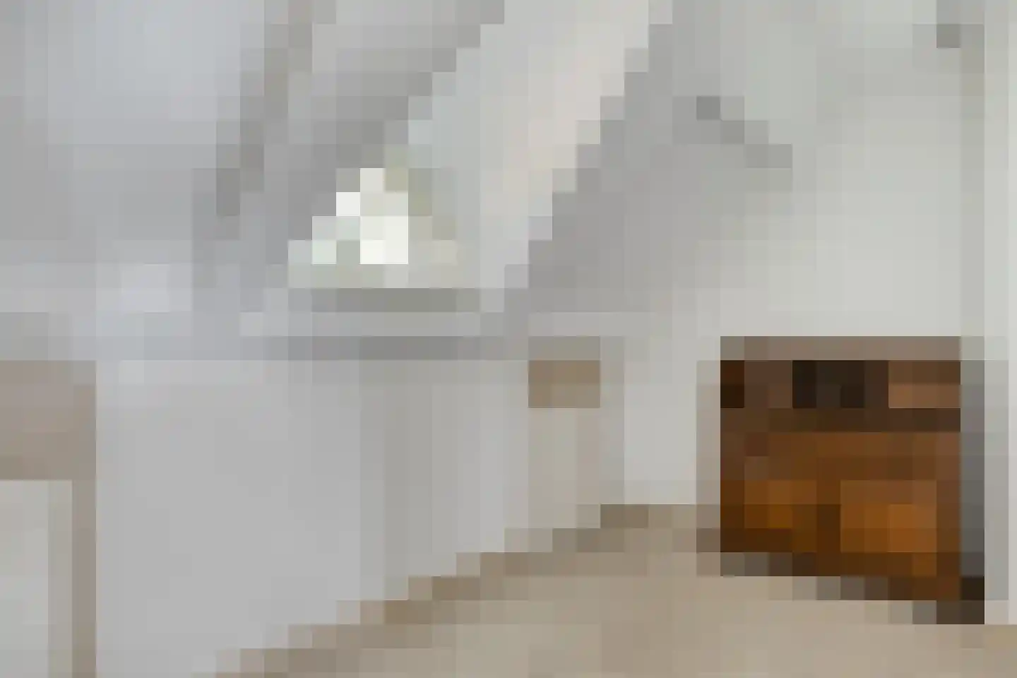 Boltsebroek 1 Escharen thumbnail 39