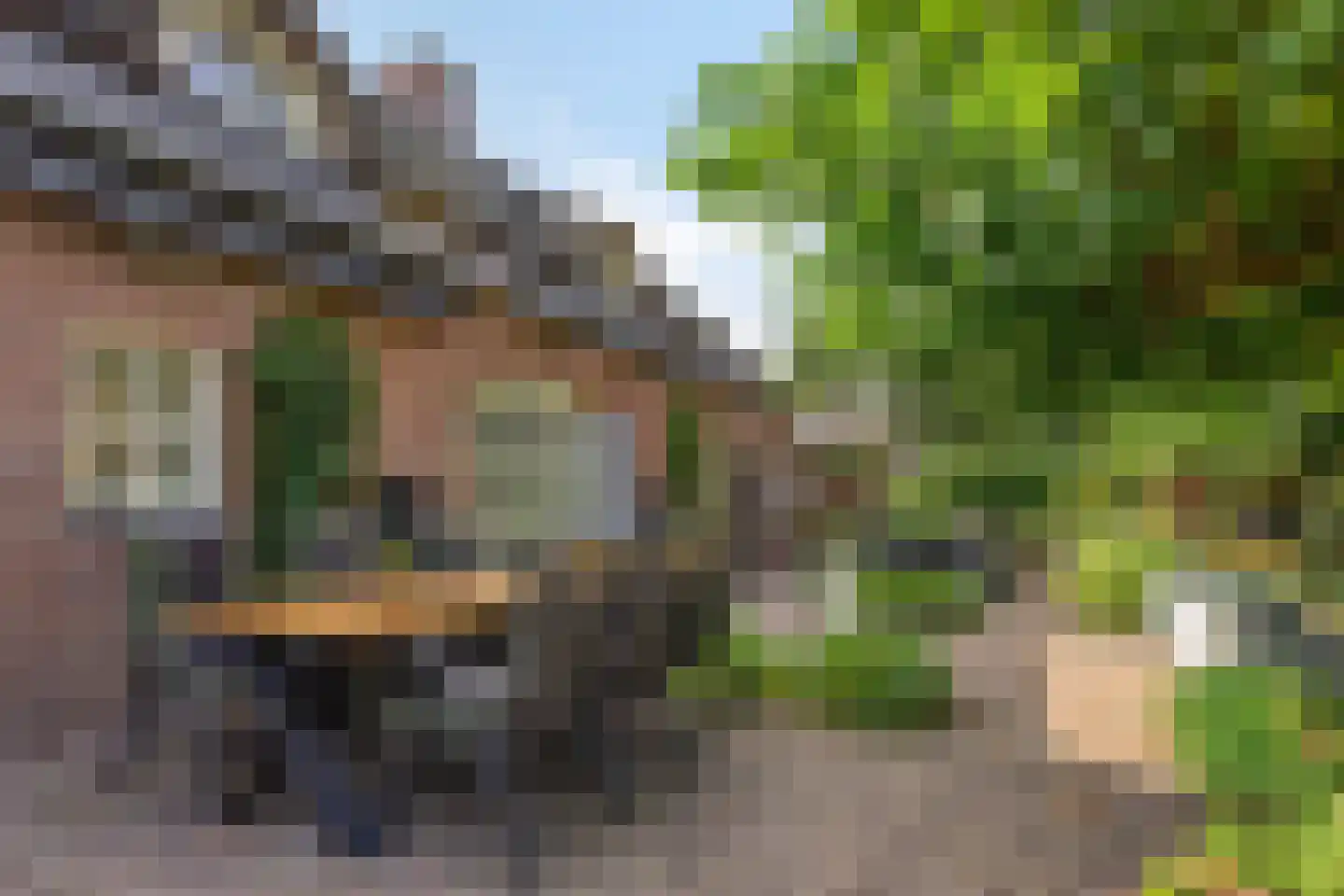 Boltsebroek 1 Escharen thumbnail 40