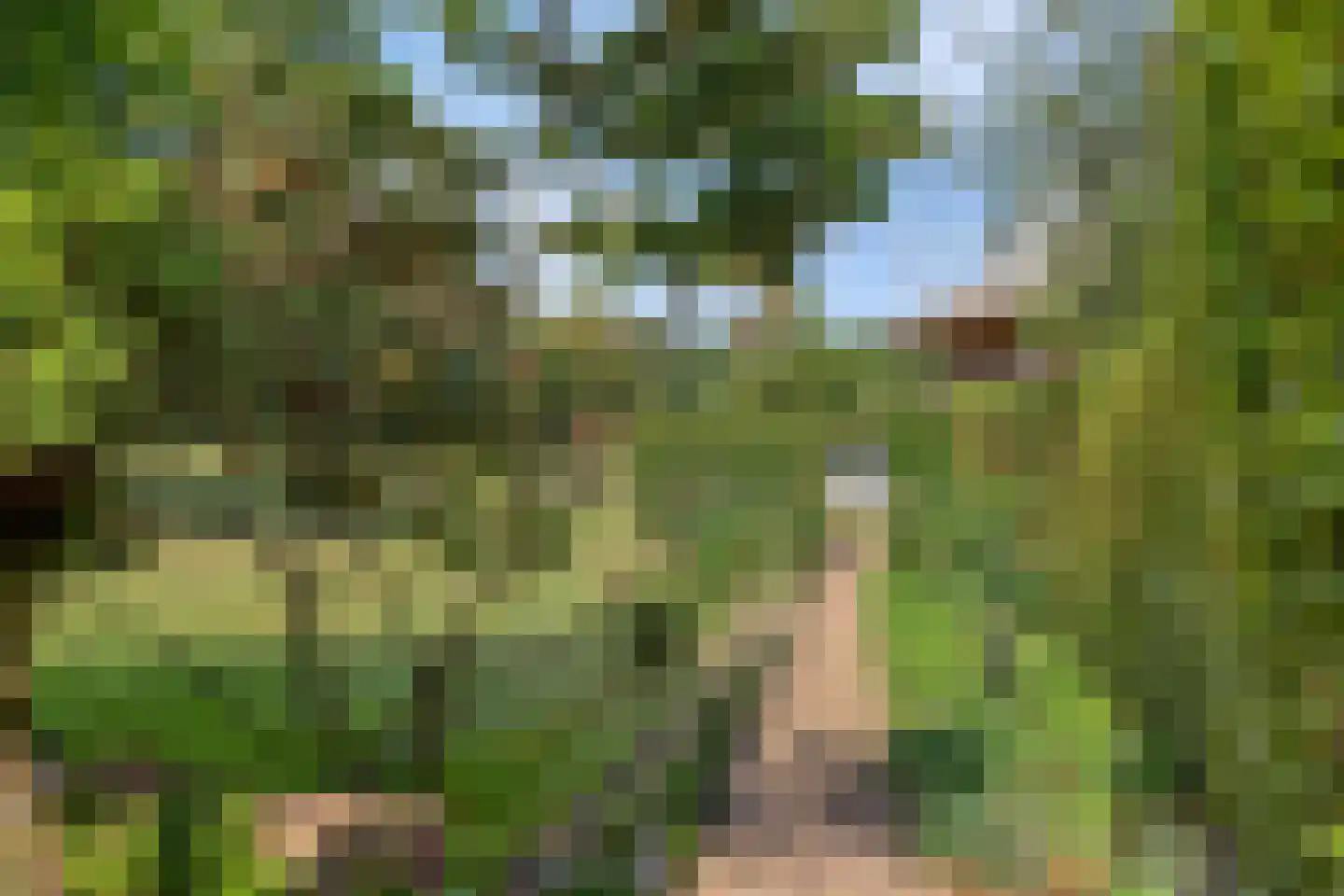 Boltsebroek 1 Escharen thumbnail 41