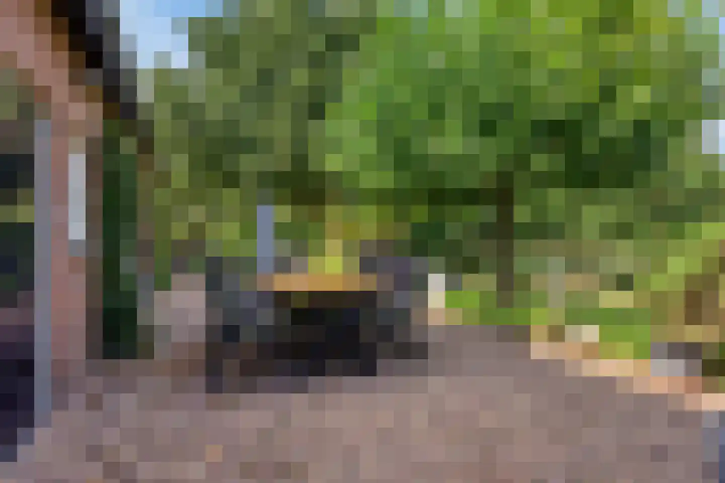 Boltsebroek 1 Escharen thumbnail 42