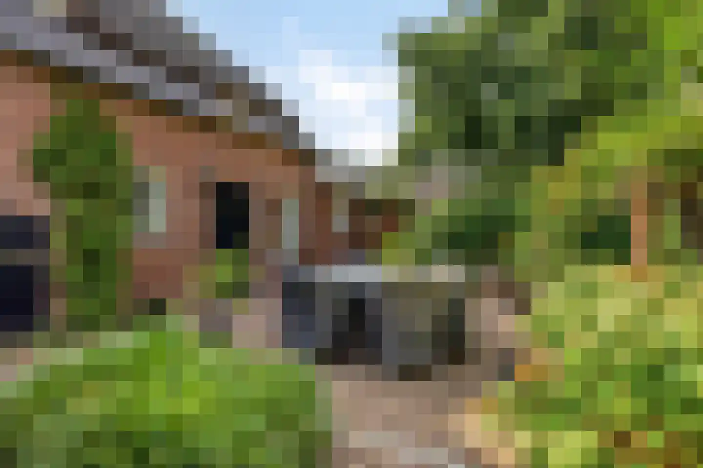 Boltsebroek 1 Escharen thumbnail 43