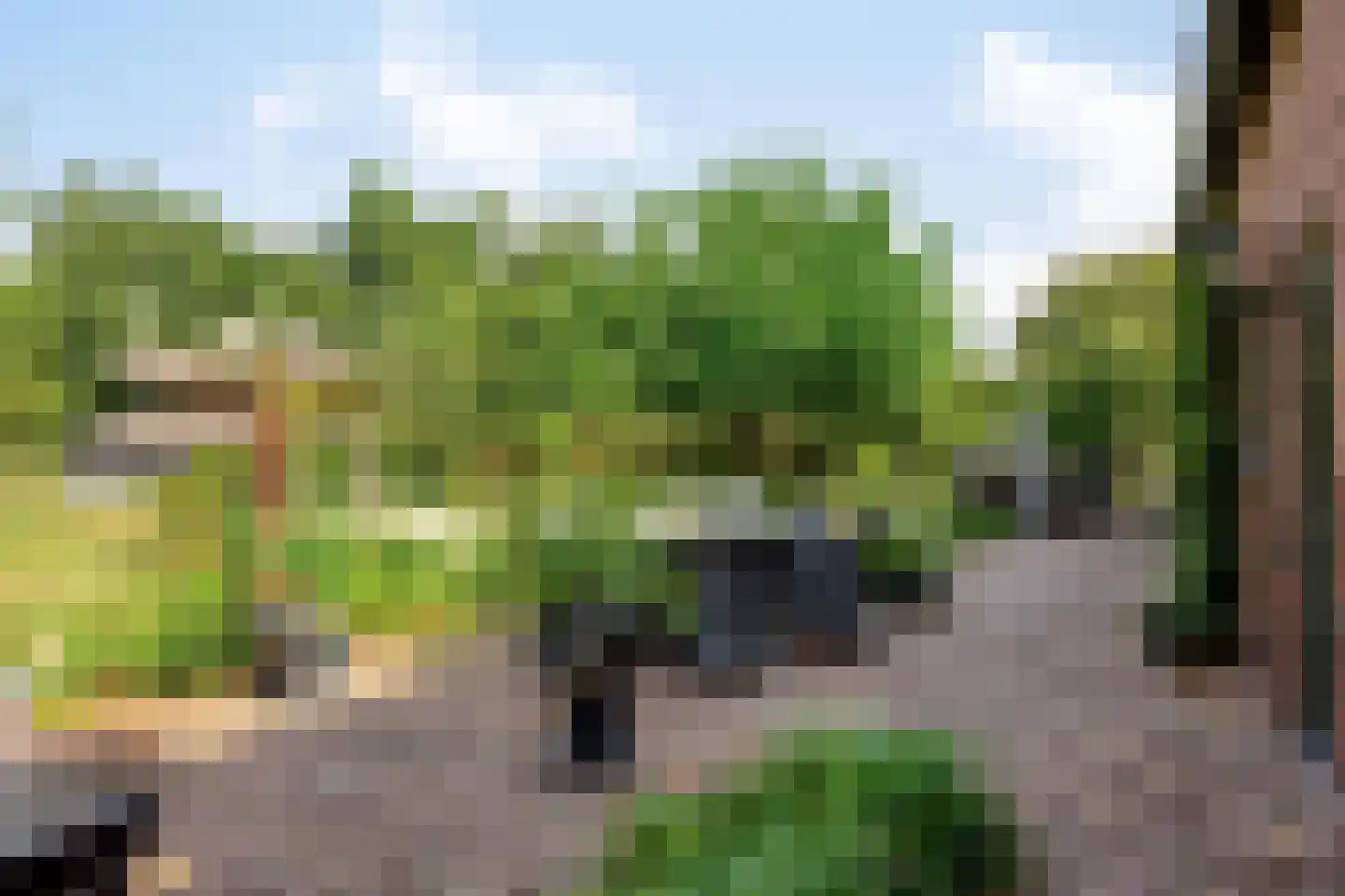 Boltsebroek 1 Escharen thumbnail 45