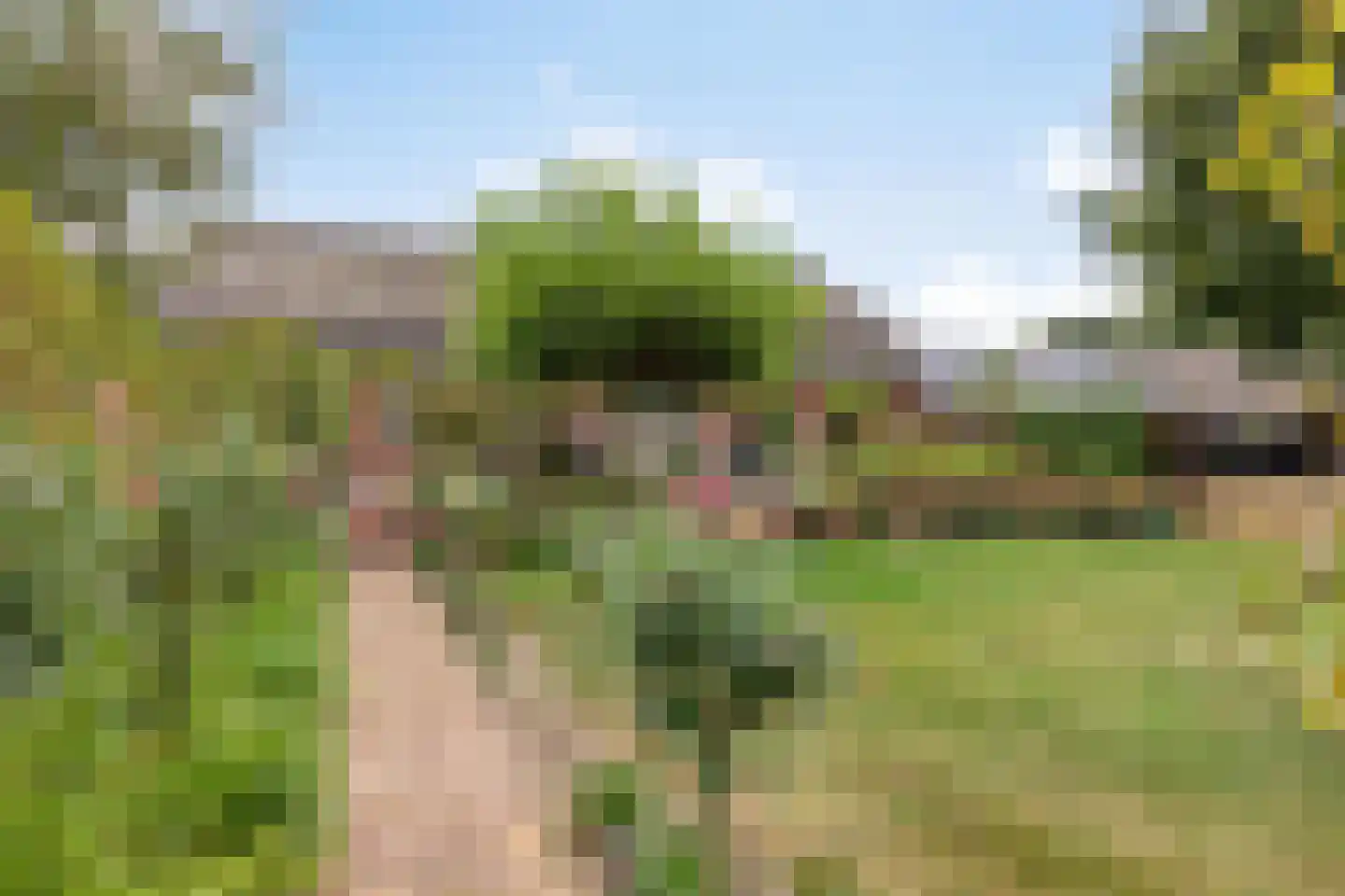 Boltsebroek 1 Escharen thumbnail 48