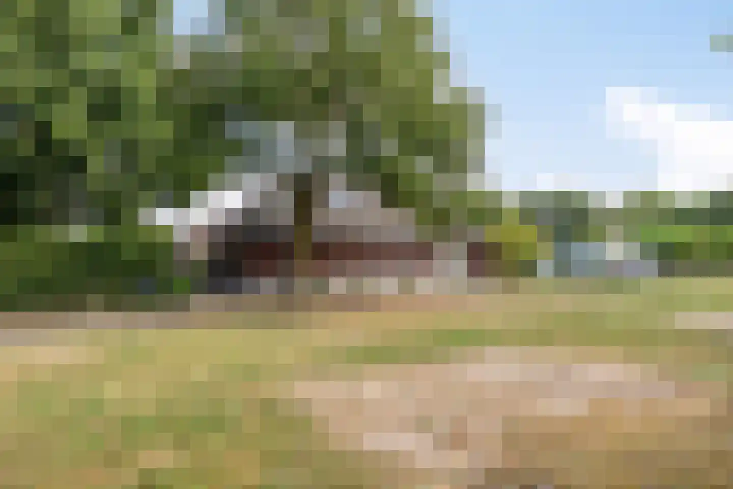 Boltsebroek 1 Escharen thumbnail 52