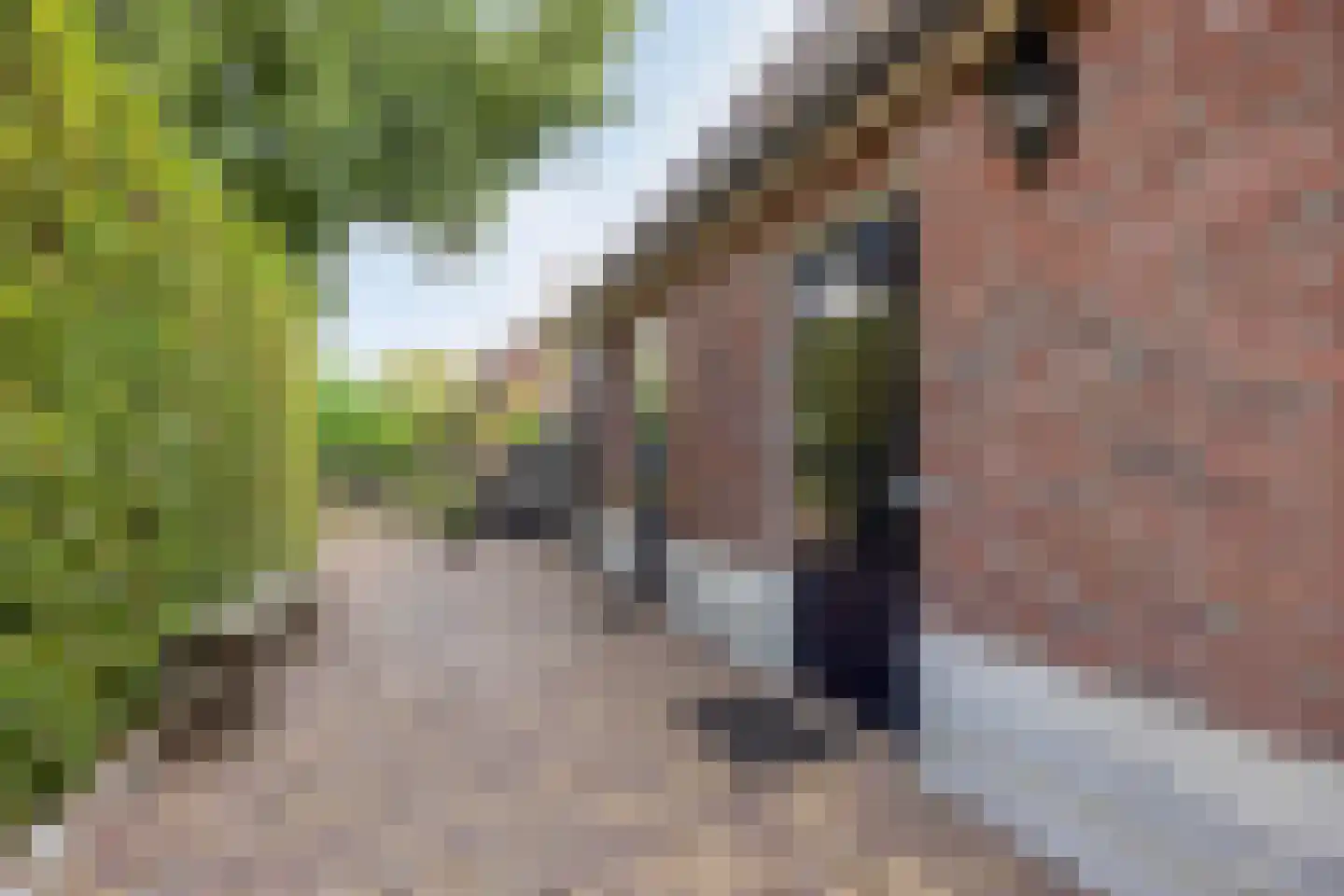 Boltsebroek 1 Escharen thumbnail 53