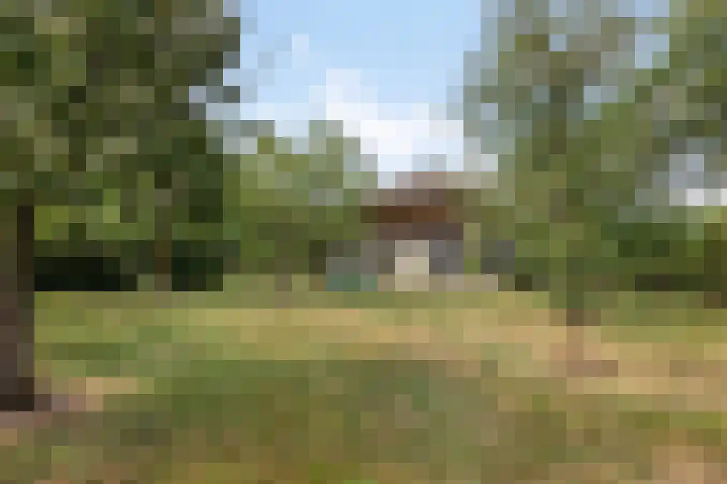 Boltsebroek 1 Escharen thumbnail 57