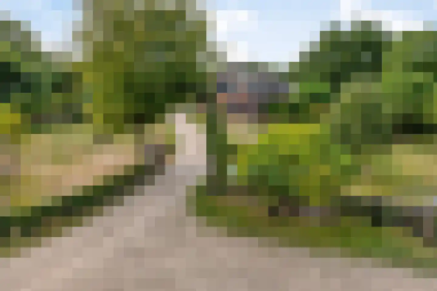Boltsebroek 1 Escharen thumbnail 6