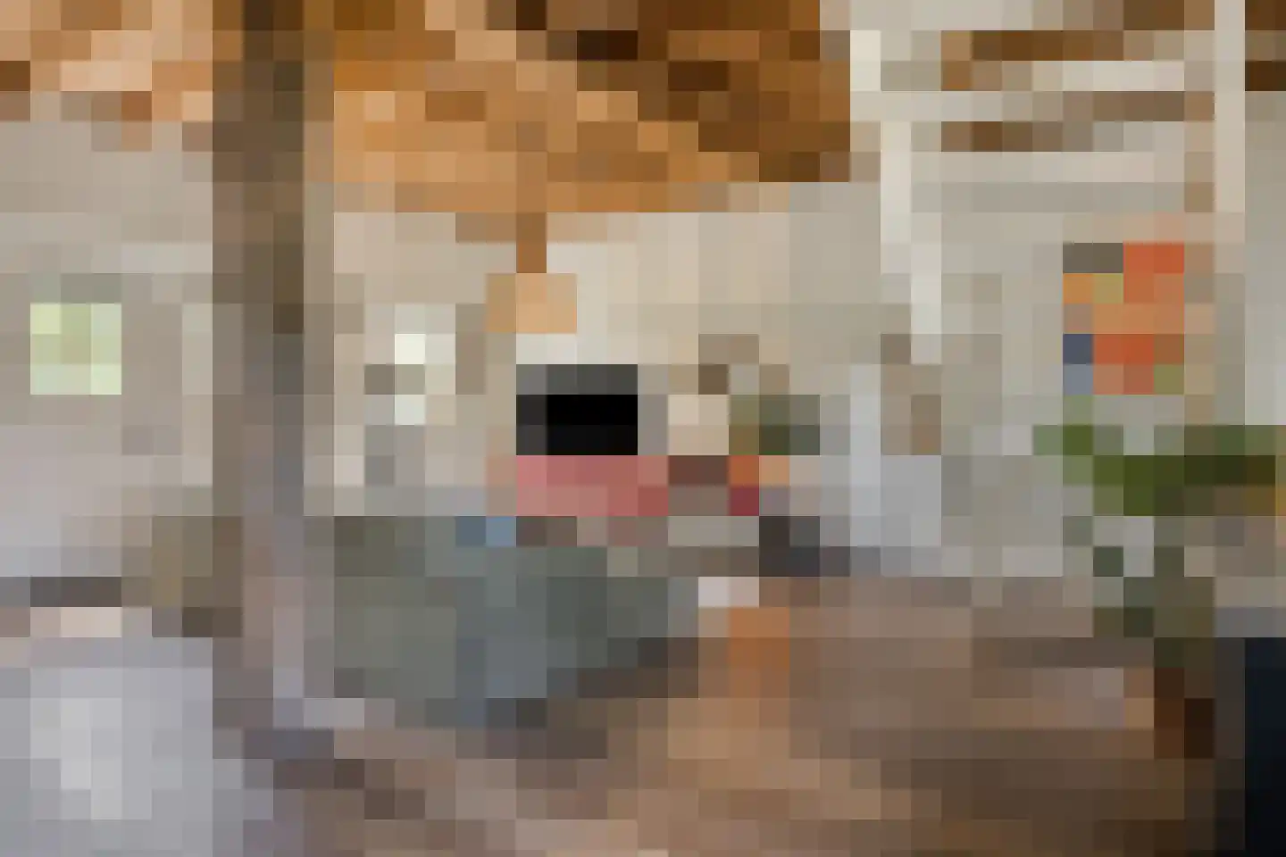 Boltsebroek 1 Escharen thumbnail 61