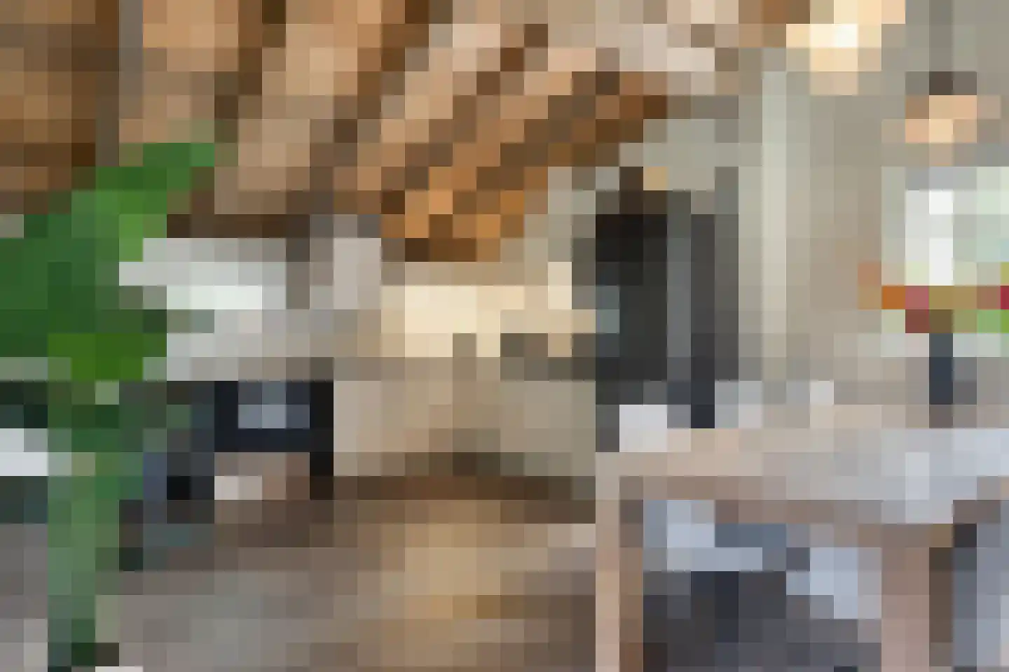Boltsebroek 1 Escharen thumbnail 62
