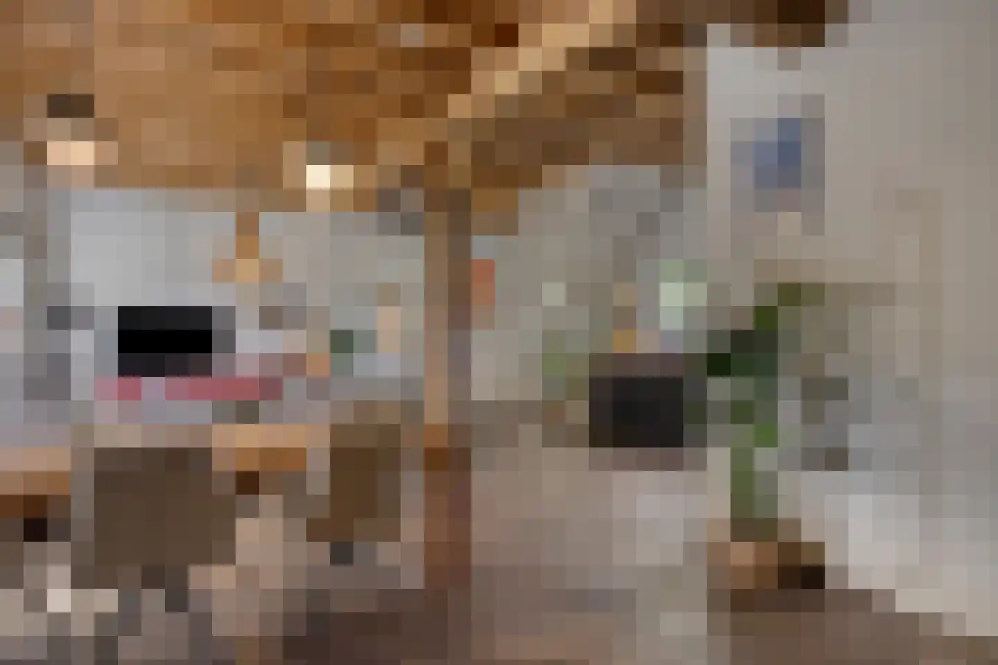 Boltsebroek 1 Escharen thumbnail 63