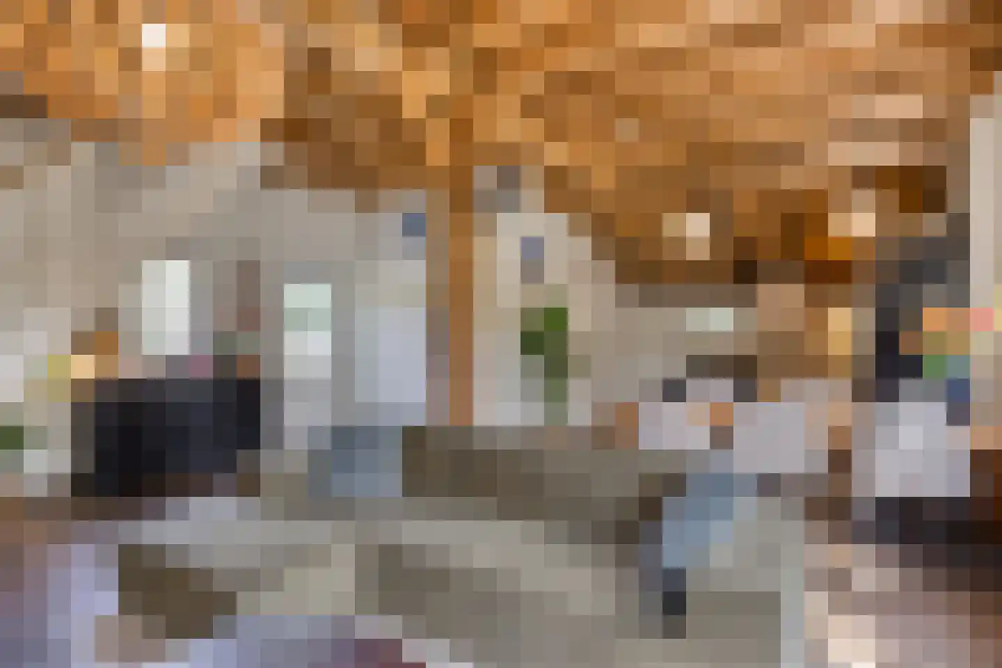 Boltsebroek 1 Escharen thumbnail 64