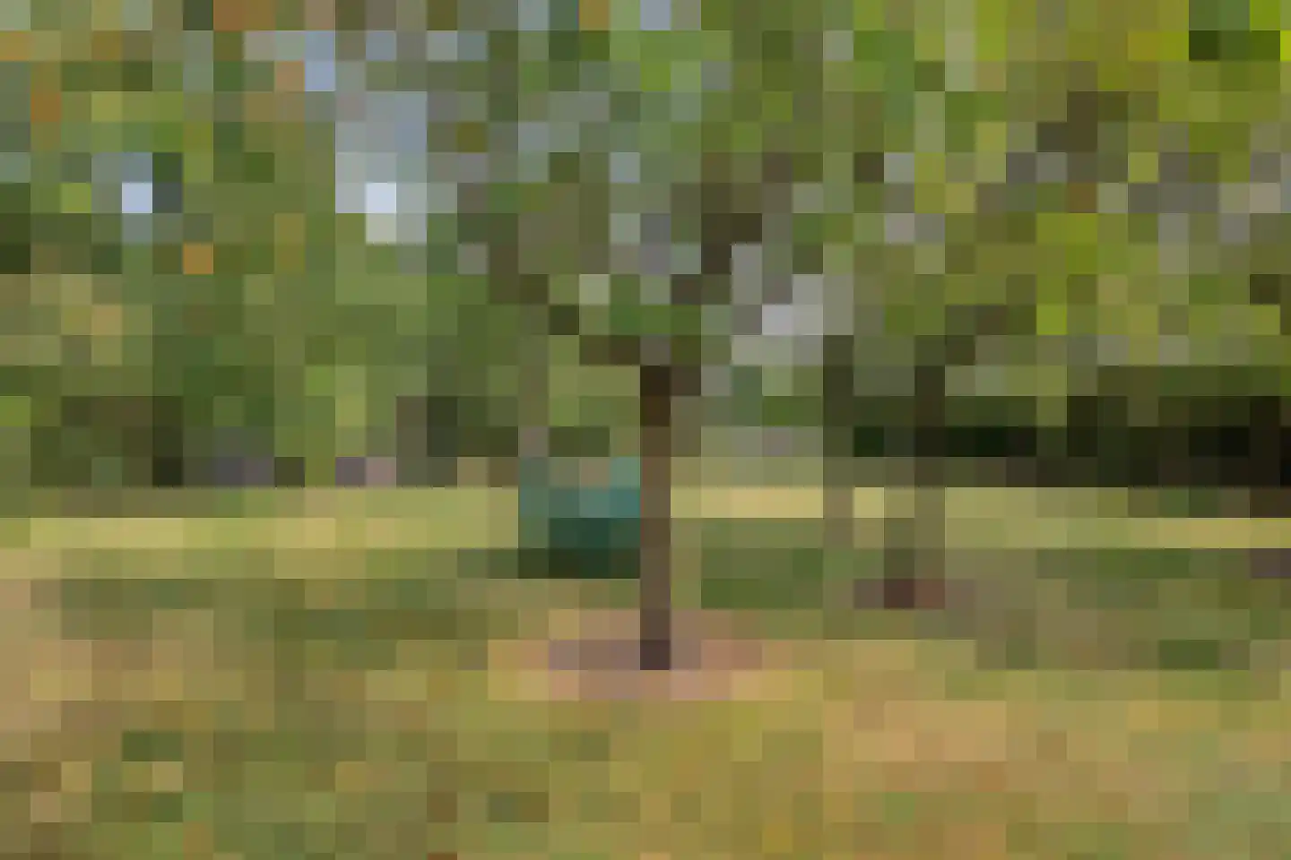 Boltsebroek 1 Escharen thumbnail 69