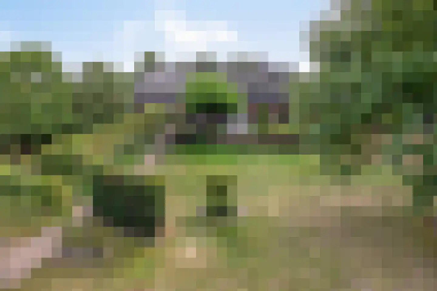 Boltsebroek 1 Escharen thumbnail 7