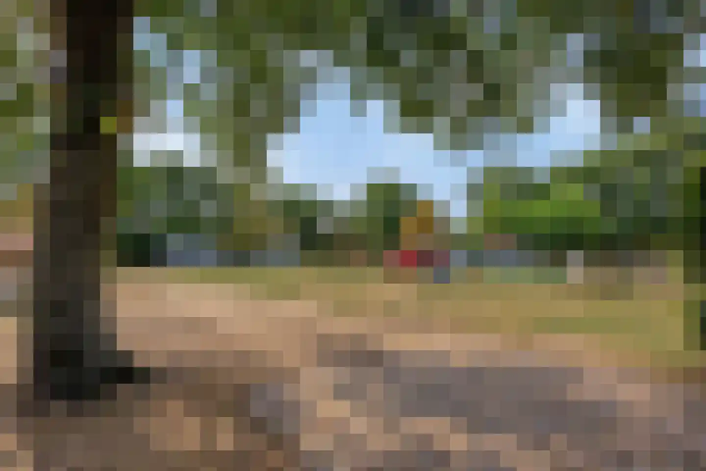 Boltsebroek 1 Escharen thumbnail 71