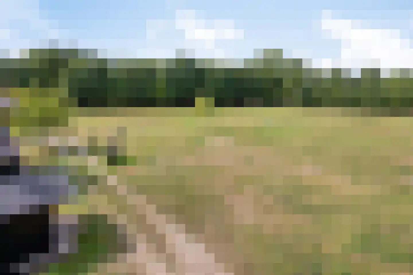 Boltsebroek 1 Escharen thumbnail 72