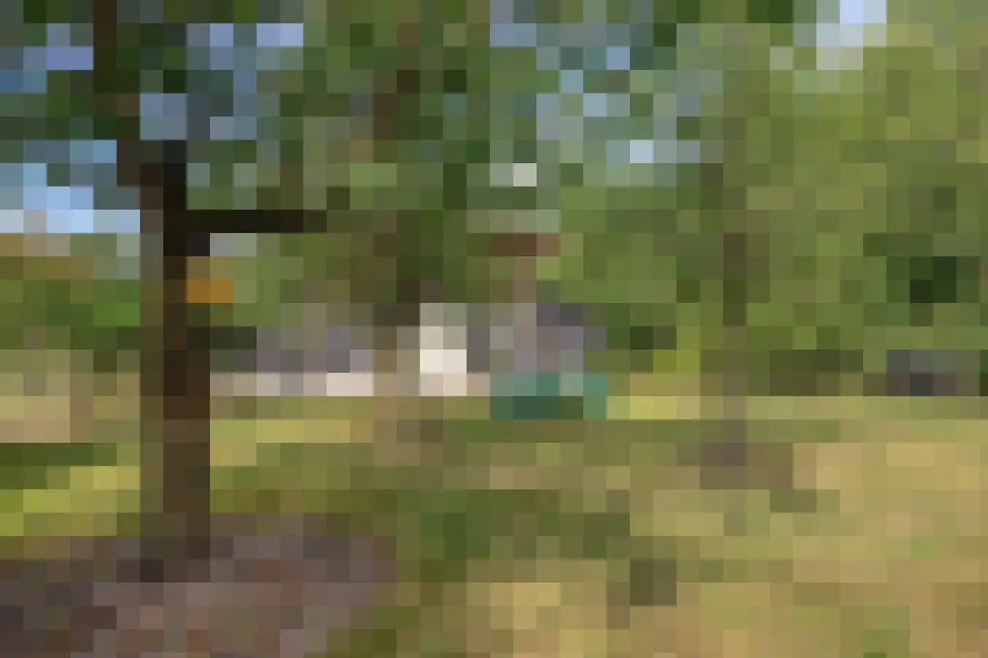 Boltsebroek 1 Escharen thumbnail 73