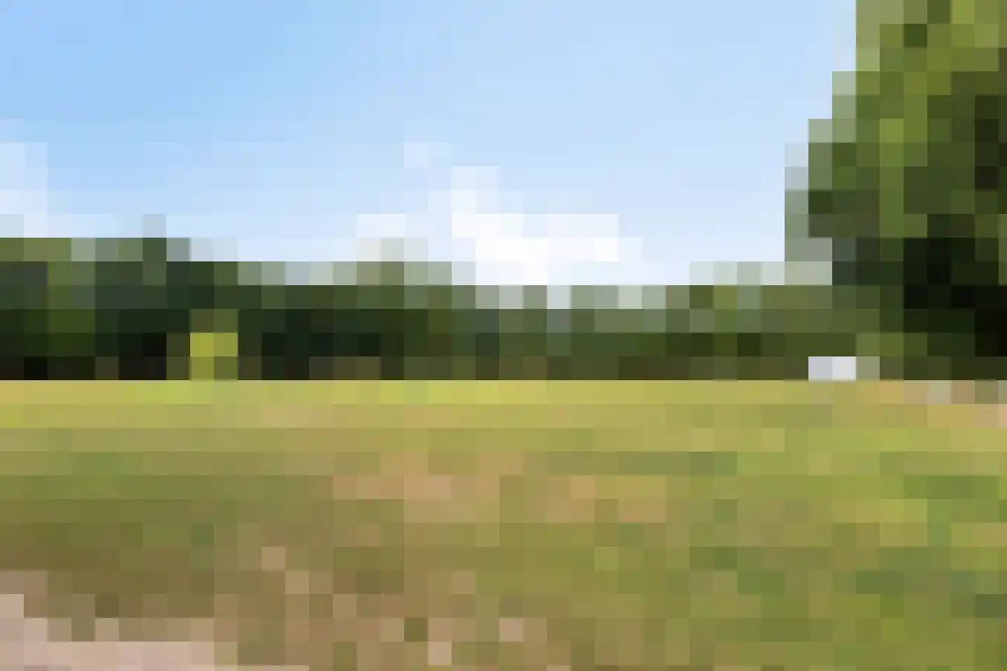 Boltsebroek 1 Escharen thumbnail 74