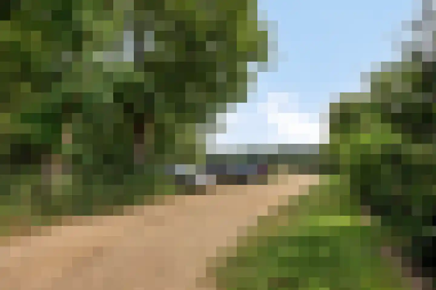 Boltsebroek 1 Escharen thumbnail 75