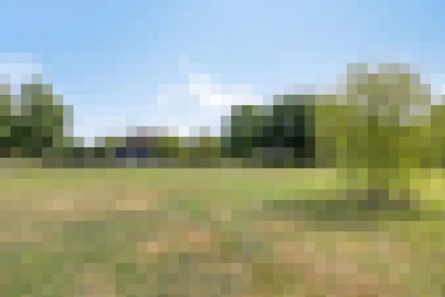 Boltsebroek 1 Escharen thumbnail 76